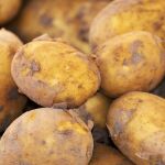 Las patatas son sensibles al etileno, una hormona vegetal que acelera la maduración