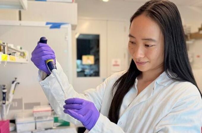 El azúcar que puede revertir el envejecimiento del cerebro